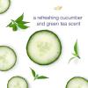 imageDove Aluminum Free Deodorant for Women 3 Count Shea Butter 72 hour odor protection 26 ozCucumber Green Tea