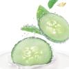 imageDove Body Wash 24 Count Refreshing Cucumber and Green Tea Refreshes Skin Cleanser That Effectively Washes Away Bacteria While Nourishing Your 3 ozCucumber and Green Tea
