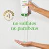 imageDove Body Wash 24 Count Refreshing Cucumber and Green Tea Refreshes Skin Cleanser That Effectively Washes Away Bacteria While Nourishing Your 3 ozCucumber  Green Tea
