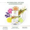 imageDove Care by Plants Deodorant Stick for longlasting deodorant protection Lemongrass aluminum free deodorant 26 oz 3 Count26 Ounce Pack of 6