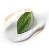 imageDove Care by Plants Deodorant Stick for longlasting deodorant protection Tea Tree aluminum free deodorant 26 oz 3 Count