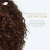 imageDove Conditioner Argan Oil ampamp Repair for Fine Hair with BioProtein Care Technology and Argan Oil Blend 12 Fl OzFragranced