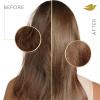 imageDove Conditioner Coconut ampamp Hydration Pack of 4 for Dry Hair Conditioner with Coconut Oil Jojoba Oil ampamp Sweet Almond Oil 31 oz