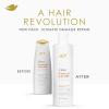 imageDove Damage Therapy Derma Shampoo Dryness  Itch for Flaky Scalp with Pyrithione Zinc and Coconut Oil 12 Fl OzFragranced
