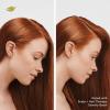 imageDove Density Boost Hydrating Conditioner Scalp Therapy for Dry Hair with Vitamin B3 Zinc and 0 Sulfates 925 oz925 Fl Oz Pack of 1