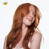 imageDove Nutritive Solutions Moisturizing Shampoo 4 Count for Dry Hair Daily Moisture with ProMoisture Complex for Manageable and Smooth Hair 12 oz12 Fl Oz Pack of 4