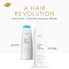 imageDove Nutritive Solutions Moisturizing Shampoo 4 Count for Dry Hair Daily Moisture with ProMoisture Complex for Manageable and Smooth Hair 12 oz12 Fl Oz Pack of 4
