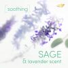 imageDove Whole Body Deo Aluminum Free Invisible Spray Deodorant Coconut ampamp Vanilla for 72h Odor Control 4 ozSage  Lavender
