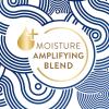 imageDove Amplified Textures Shampoo Conditioner LeaveIn Conditioner with Coconut Milk Aloe and Jojoba 3 Count for Coils Curls and Waves and Moisture Amplifying Hair Care Blend 115 oz
