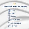 imageDove Amplified Textures Shampoo Conditioner LeaveIn Conditioner with Coconut Milk Aloe and Jojoba 3 Count for Coils Curls and Waves and Moisture Amplifying Hair Care Blend 115 oz