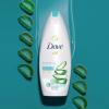 imageDove Body Wash 100 Gentle Cleansers Sulfate Free Hydrating Aloe and Birch Bodywash Gives You Softer Smoother Skin After Just One Shower 22 Fl Oz Pack of 4