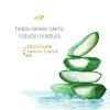 imageDove Body Wash 100 Gentle Cleansers Sulfate Free Hydrating Aloe and Birch Bodywash Gives You Softer Smoother Skin After Just One Shower 22 Fl Oz Pack of 4