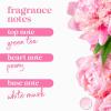 imageDove Body Wash 100 Gentle Cleansers Sulfate Free Peony and Rose Oil Effectively Washes Away Bacteria While Nourishing Your Skin 22 Fl Oz Pack of 4Peony
