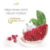 imageDove Body Wash for Softer Smoother Skin After Just One Use Rejuvenating Pomegranate and Hibiscus Tea Effectively Washes Away Bacteria While Nourishing Your Skin 22 Fl Ounce Pack of 4Pomegranate and Lemon Verbena