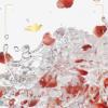 imageDove Body Wash for Softer Smoother Skin After Just One Use Rejuvenating Pomegranate and Hibiscus Tea Effectively Washes Away Bacteria While Nourishing Your Skin 22 Fl Ounce Pack of 4Revive