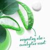 imageDove Body Wash with Pump 4 Count Invigorate Aloe ampamp Eucalyptus For 24hr LotionSoft Skin Moisturizing Skin Cleanser with No Sulfates No Parabens