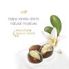 imageDove Purely Pampering Body Wash for Dry Skin Shea Butter with Warm Vanilla Effectively Washes Away Bacteria While Nourishing Your Skin 22 Fl Oz Pack of 4Shea Butter and Warm Vanilla