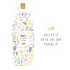 imageDove Purely Pampering Body Wash for Dry Skin Shea Butter with Warm Vanilla Effectively Washes Away Bacteria While Nourishing Your Skin 22 Fl Oz Pack of 4Shea Butter and Warm Vanilla