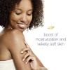 imageDove Purely Pampering Body Wash for Dry Skin Shea Butter with Warm Vanilla Effectively Washes Away Bacteria While Nourishing Your Skin 22 Fl Oz Pack of 4Shea Butter and Warm Vanilla