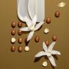 imageDove Purely Pampering Body Wash for Dry Skin Shea Butter with Warm Vanilla Effectively Washes Away Bacteria While Nourishing Your Skin 22 Fl Oz Pack of 4Shea Butter and Warm Vanilla