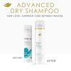 imageDove Advanced Dry Shampoo Fresh Coconut Refresh ampamp Revive Hair Without Water for Clean ampamp Fresh Hair 73 oz